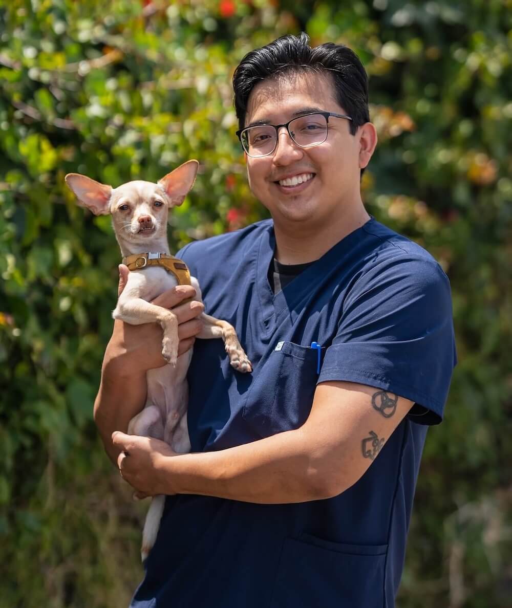 Santa Monica pet medical center Derek H