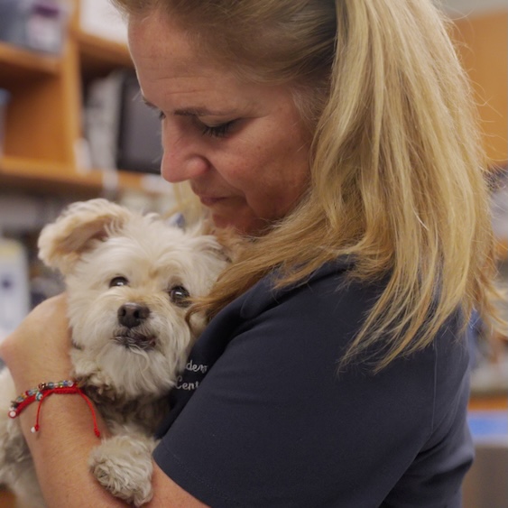 Santa Monica Pet Medical Center preventative care