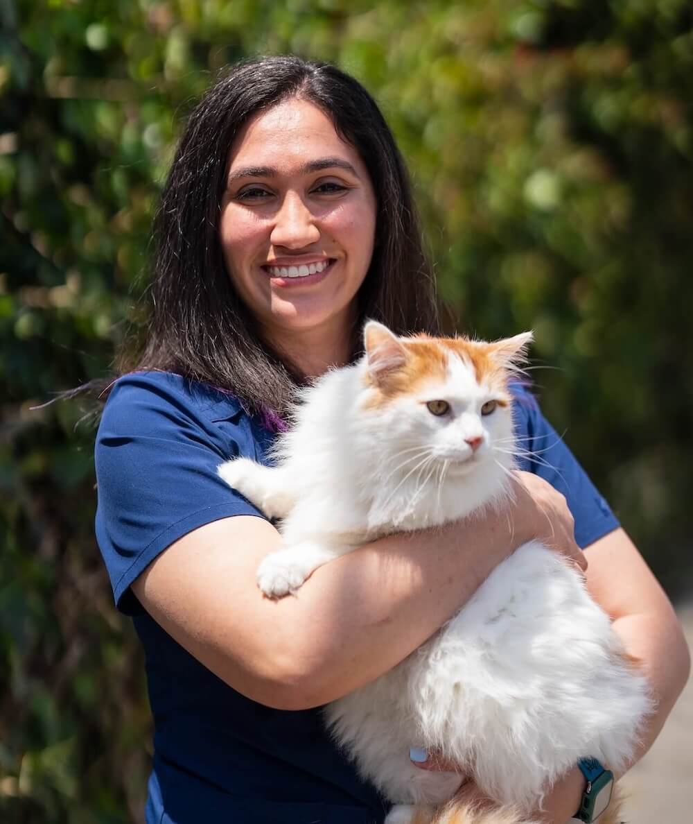Santa Monica Pet Medical Center Michelle C