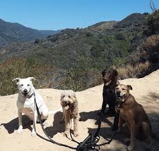 Hiking Trails Los Angeles, CA