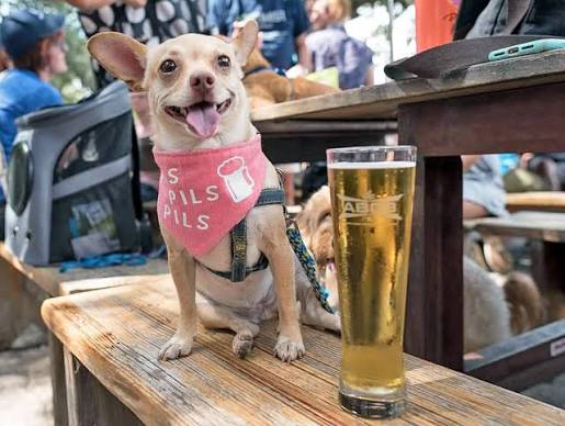dog friendly restaurant