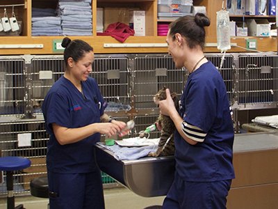 Santa Monica Pet Medical Center CA AAHA 2