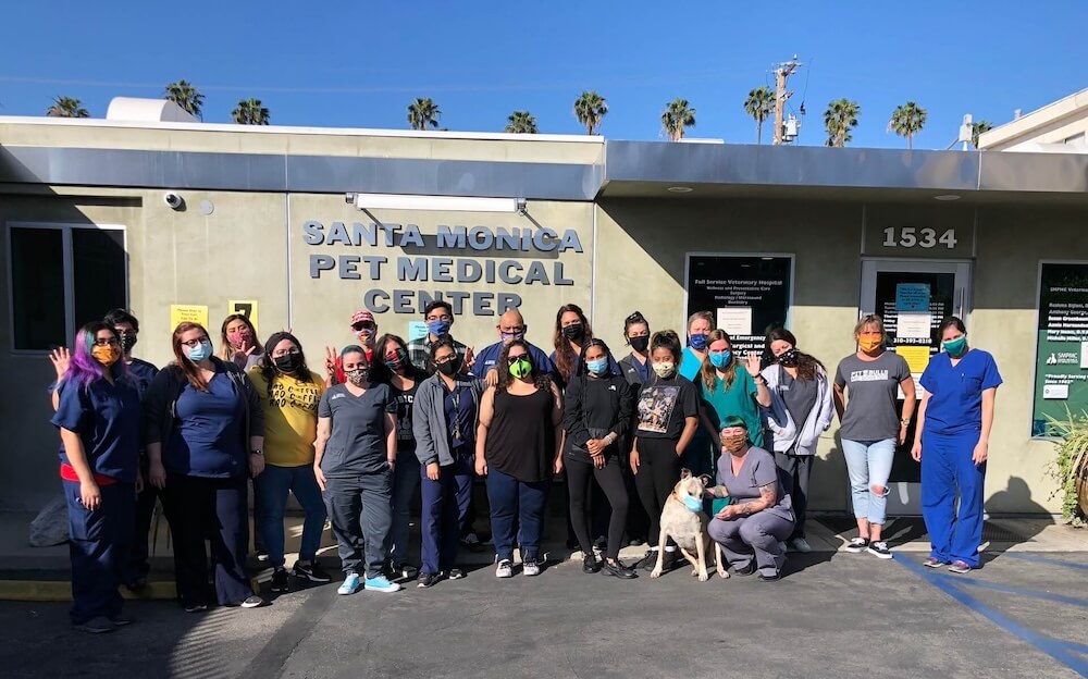 Santa Monica Pet Medical Center staff 