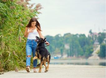 New Year, New Paws: Pet Resolutions You Can Actually Keep 